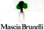 Mascia Brunelli, svela e trasforma la bellezza