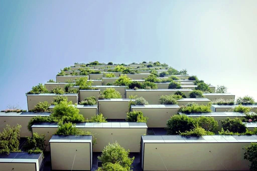 Oasi urbane: balconi di città piante belle e facili
