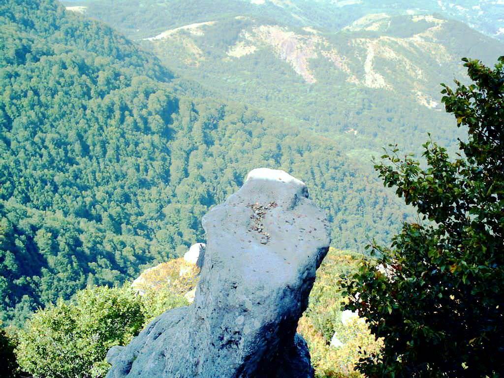 Cosa vedere nel Parco Nazionale Cilento e Vallo di Diana tra la natura e il sacro: Vallo della Lucania, il monte sacro Gelbison, Novi Velia, e Santuario Madonna di Novi a 1700 m.