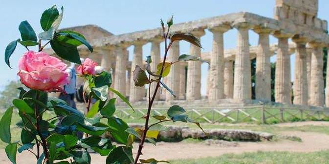 Scopri l'antica Paestum parco archeologico in Italia