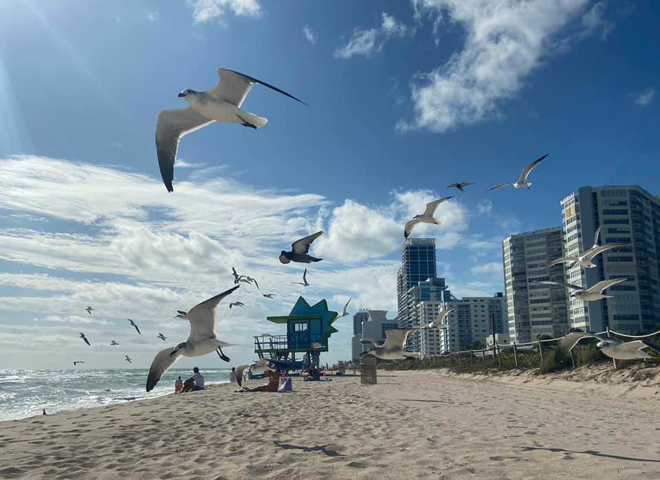 Miami Beach, non solo mare per vacanze