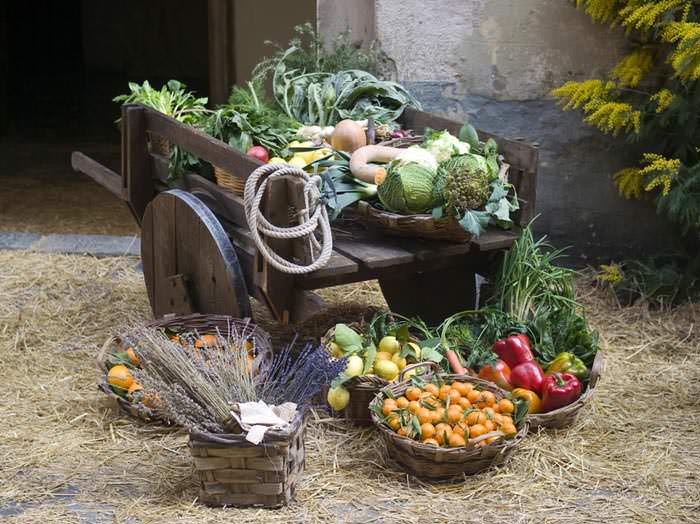 Cosa mangiavano nel medioevo gli aristocratici e contadini?