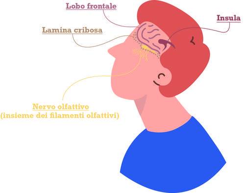 Perdita olfatto Covid 3 rimedi anosmia efficaci